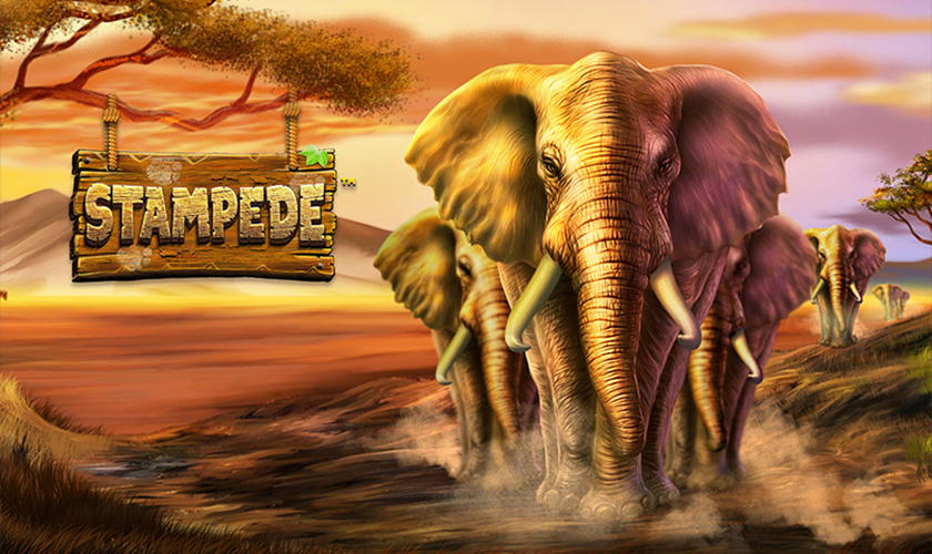 Stampede
